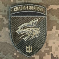 Шеврон 137 ОБМП захисний варіант 