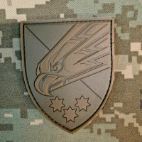 PVC Шеврон 25 ОПДБр Coyote 