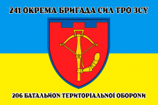 Прапор 206 БТРО з шевроном