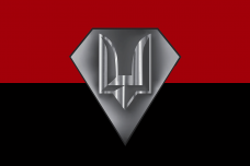 Прапор ССО Двозуб червоно-чорний
