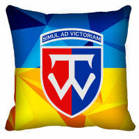 Декоративна подушка 58 ОМПБр