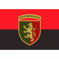 Прапор 24 ОМБр Червоно чорний