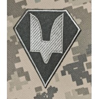 Шеврон Сили Спеціальних Операцій (олива)