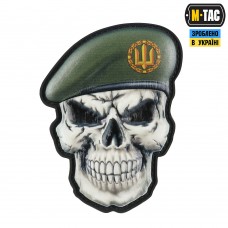 Шеврон череп у береті Загальний Сухопутних військ M-TAC