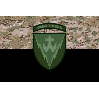 Прапор 14 РТБр camo-black
