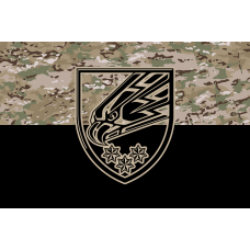 Прапор 25 окрема повітряно-десантна Січеславська бригада Camo
