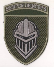 Нарукавний знак 3 окрема танкова бригада Польовий