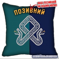 Декоративна подушка 101 ОЗРДн МП два кольори