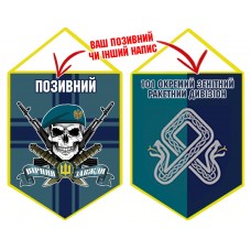 Вимпел 101 ОЗРДн МП череп в береті