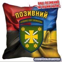 Декоративна подушка 116 ОМБр Combo
