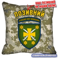 Декоративна подушка 116 ОМБр піксель