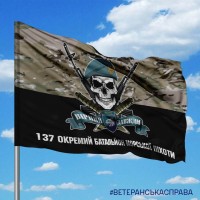Прапор 137 окремий батальйон морської піхоти череп в береті Camo