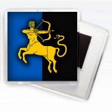 Магнітик 141 ОМБр емблема 2 кольори