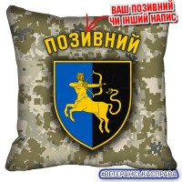 Декоративна подушка 141 ОМБр піксель