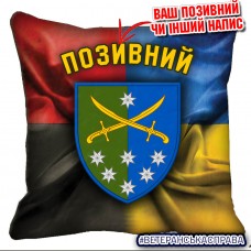 Декоративна подушка 142 ОМБр Combo