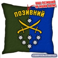 Декоративна подушка 142 ОМБр емблема