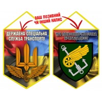 Вимпел 194 понтонно-мостова бригада ДССТ Combo