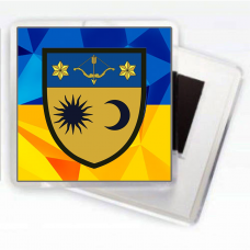 Магнітик 229 окремий батальйон логістики