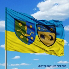 Прапор 229 окремий батальйон логістики 10 армійський корпус