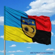 Прапор 229 окремий батальйон логістики Combo