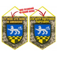 Вимпел 239 центр підготовки підрозділів новий шеврон піксель