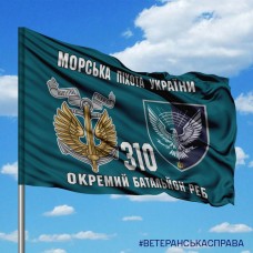 Прапор 310 окремий батальйон РЕБ МП
