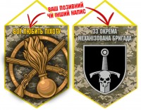 Вимпел 33 ОМБр і знак Піхоти піксель