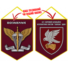 Вимпел 421 ОББпС САПСАН ДШВ