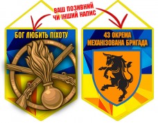 Вимпел 43 ОМБр і знак Піхоти жовто-блакитний