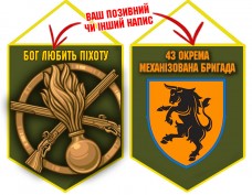 Вимпел 43 ОМБр і знак Піхоти олива