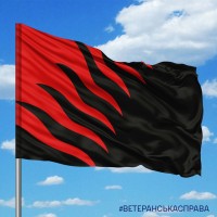 Прапор 55 ОАБр емблема