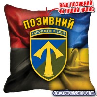 Декоративна подушка 57 ОМПБр Combo