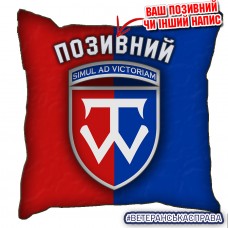 Декоративна подушка 58 ОМПБр два кольори