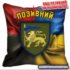 Декоративна подушка 60 ОМБр Combo