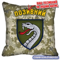 Декоративна подушка 61 ОМБр піксель