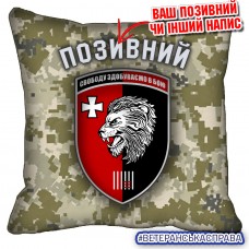 Декоративна подушка 63 ОМБр піксель