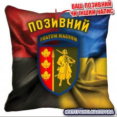 Декоративна подушка 65 ОМБр Combo