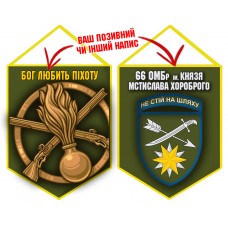 Вимпел 66 ОМБр і знак Піхоти олива