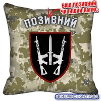 Декоративна подушка 67 ОМБр піксель