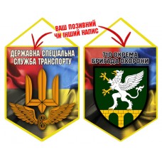 Вимпел 710 ОБрО шеврон і знак ДССТ Combo