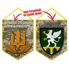 Вимпел 710 ОБрО шеврон і знак ДССТ піксель