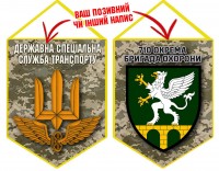 Вимпел 710 ОБрО шеврон і знак ДССТ піксель