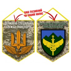 Вимпел 711 окрема бригада розмінування ДССТ піксель