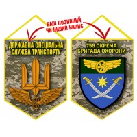 Вимпел 756 полк охорони ДССТ піксель