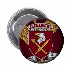 Значок 8 корпус ДШВ знак