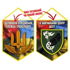 Вимпел 8 навчальний центр ДССТ Combo