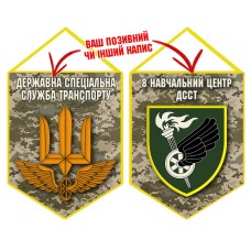Вимпел 8 навчальний центр ДССТ піксель