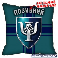 Декоративна подушка 80 центр МПЗ МП