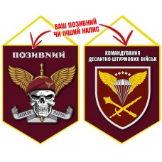 Вимпел Командування ДШВ череп в береті