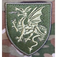 Нарукавний знак 107 РеАБр (Польовий)